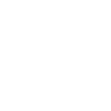 Amazon Fire